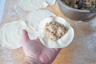 将馅料放在饺子皮中，包成您喜欢的饺子形状。