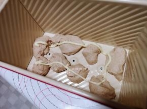 接着将面团切成小块在模具底部铺上一层，再挤上沙拉酱。