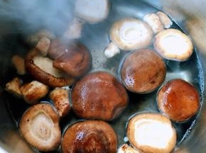 香菇洗净去蒂在开水中焯水后立即放入冷水中过凉