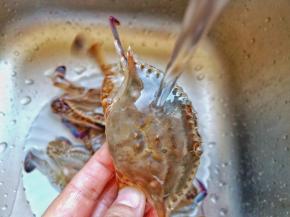 螃蟹刷洗干净，剪去蟹脚免得被夹。