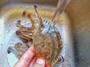 螃蟹刷洗干净，剪去蟹脚免得被夹。