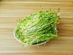 挑选新鲜的豆苗。