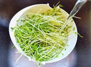 清水清洗一下，择洗干净。