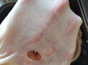 2、油皮材料全部放入面包机揉面，揉到出薄膜为止，包保鲜膜松弛30分钟。