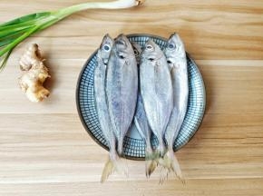 挑选巴浪鱼眼睛乌黑发亮就是新鲜的。