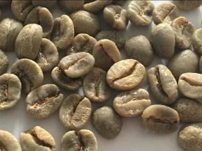 咖啡豆再次挑拣出残次豆、虫蛀豆。