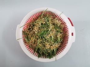 洗净滤干水分备用