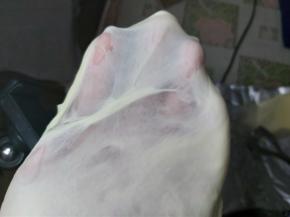 再次启动厨师机，2档搅打10-15分钟，转成3档5分钟，面团基本就可以扯出较为结实的半透明薄膜，且面团光泽油亮却不会粘手。