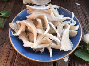 蘑菇洗净后撕成小片，备用