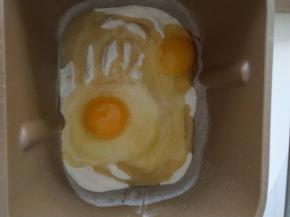 2、所有材料放入面包机揉面。揉成团即可，放在温暖的地方发酵到2倍大。