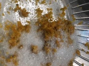 20克糖加入橙皮