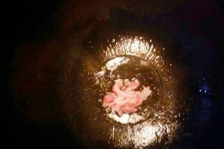 锅中倒入植物油开小火，油温七成热放入猪肉炒至变色。