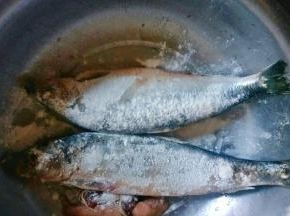 把鱼用盐腌制1小时后表面裹一层干面粉。