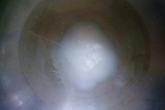 锅中倒入清水放入白糖开小火。