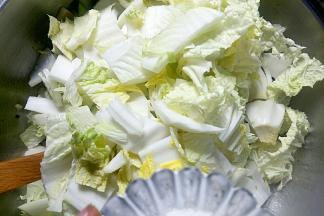 加入白菜、盐翻炒至白菜出汁。