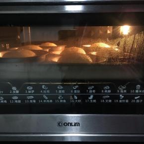 东菱烤箱上下火170度，放入中层，烘烤25分钟，表面上色后最后5分覆盖锡纸，避免上色过重，