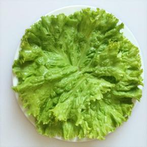 7 取生菜叶铺底