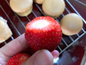 草莓洗干净去掉根部，用刀切一个平面，这样有利于放在蛋糕上