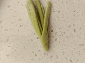 取一个卷起来