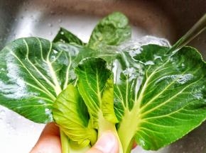 青菜是自家院子刚采摘的，清水把泥巴都清洗干净。