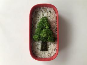 剪一个长一些的梯形做树干，然后把西兰花摆出圣诞树的造型。