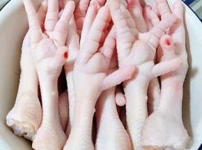 在超市里买到新鲜的凤爪剪去指尖洗净锅中烧开水放入凤爪焯水