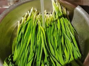 韭菜清洗干净备用