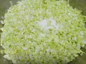 放入盆里，撒一勺盐搅拌均匀，静置15分钟左右至出水。