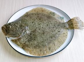 洗干净的鱼放入盘中，好美呀！有没有？