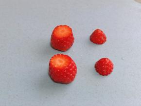 泡好的草莓把尖部切下来，依次做完，用厨房用纸擦干。