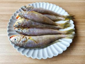 挑选新鲜的小梅鱼看鱼稽的颜色，颜色鲜艳就是新鲜的。