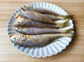 挑选新鲜的小梅鱼看鱼稽的颜色，颜色鲜艳就是新鲜的。