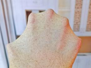 这时面团有了不容易破的手套膜，揉面时间也要根据实际情况调整，总之有不易破的手套膜即可。