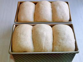 发酵至9分满，可以进行烘烤。