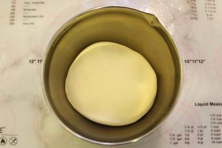 将面团取出，整圆，放入盆内，盖上保鲜膜，发酵至1.5-2-倍大。