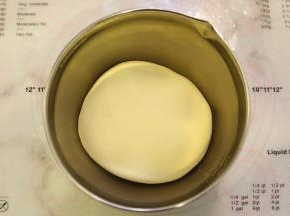 将面团取出，整圆，放入盆内，盖上保鲜膜，发酵至1.5-2-倍大。
