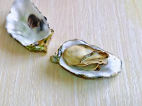 轻轻用手一掰就开了，再将内脏去掉。