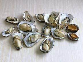 依次掰开并处理好了内脏，用手拿着贝壳，一个一个的冲洗干净。