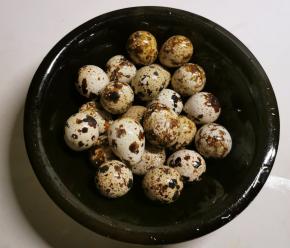 鹌鹑蛋清洗干净 控水备用