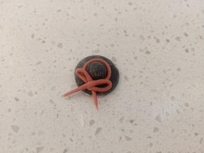 黑色面团做一顶小帽子（很小的一个，面团用量大约就可以）