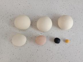 分出3个30克的白色面团，10克粉色面团，1克黑色面团，1克黄色面团，剩余白面团备用