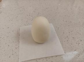 取一份30克的白面团揉圆，搓成圆柱体，搓高一些，发酵后会变胖