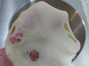 启动厨师机，先一档3分钟把食材混合均匀，转2档10-15分钟，把面团打至粗膜的状态。