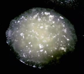 锅中倒入适量清水烧开再倒入水淀粉勾芡成透明糊状