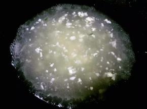 锅中倒入适量清水烧开再倒入水淀粉勾芡成透明糊状