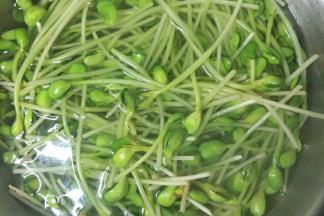 把绿豆瓣加一点点盐用热开水烫一下过冷水待用。