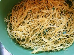 控干水分，用手撕成合适的小段，便于食用。