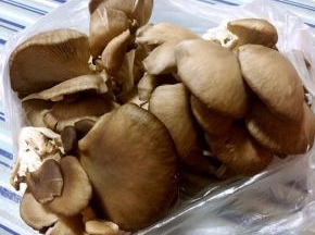 超市买回来的平菇准备换个花样尝试一下