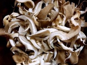平菇洗净撕成条状