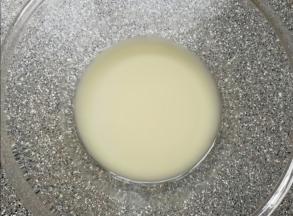 温水加入发酵粉和糖混合均匀。